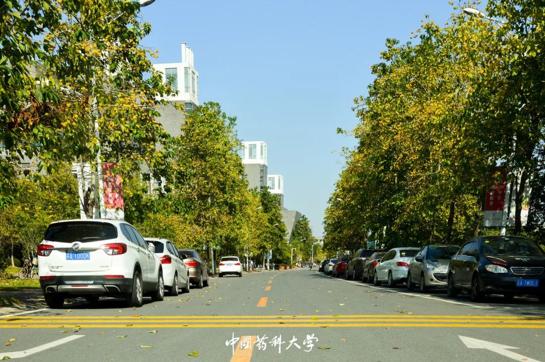 布衣官道怎么样，探索一条通往成功的道路