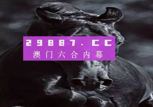 新澳门开奖记录今天开奖结果查询，探索与揭秘